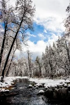 Winter Landscape Stock Photos