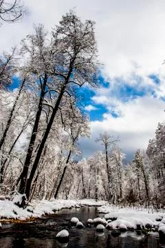 Winter Landscape Stock Photos