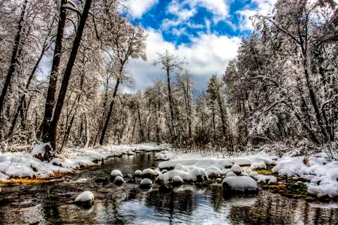Winter Landscape Stock Photos