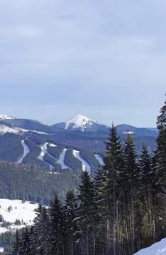 Winter landscape Stock Photos