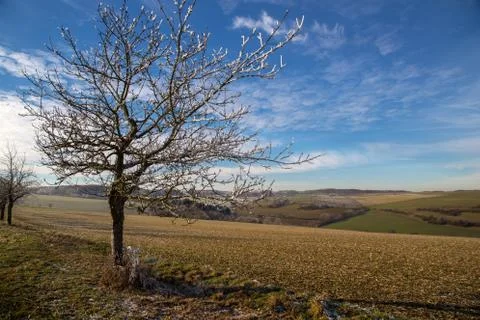 Winter Landscape Stock Photos