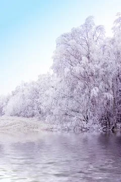 Winter landscape Stock Photos