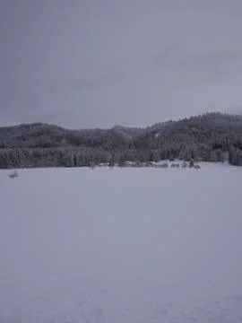 Winter landscape Foto stock