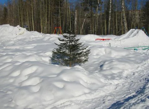 Winter landscape Stock Photos