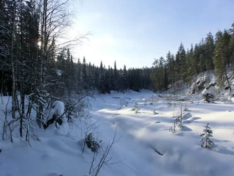 Winter Landscape Stock Photos