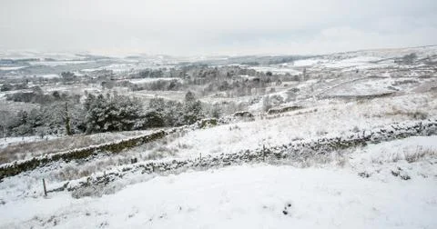 Winter Landscape Stock Photos