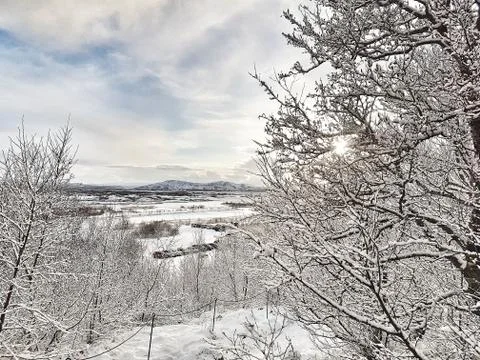 Winter landscape 写真素材