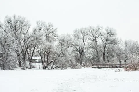 Winter landscape Stock Photos