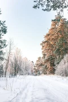 Winter landscape Stock Photos
