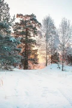 Winter landscape Stock Photos