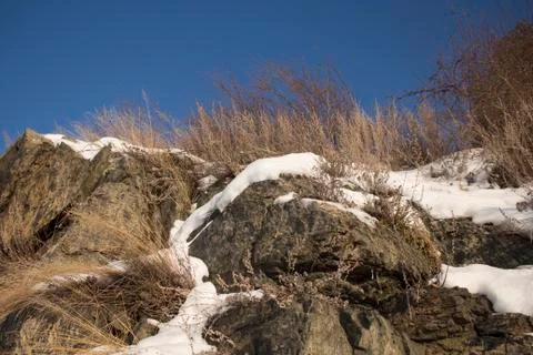 Winter landscape Stock Photos
