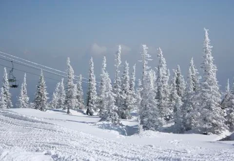 Winter landscape Foto stock