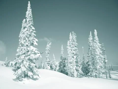 Winter landscape Stock Photos