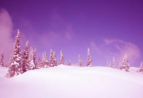 Winter landscape Stock Photos