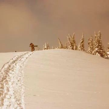 Winter landscape Foto stock