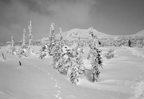 Winter landscape Stock Photos