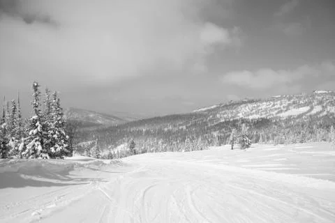 Winter landscape Stock Photos