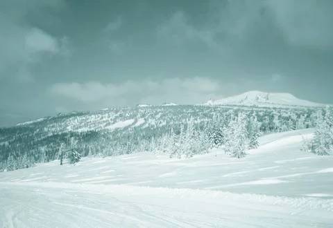 Winter landscape Stock Photos