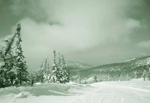 Winter landscape Foto stock