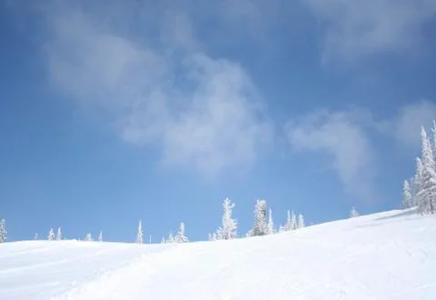 Winter landscape Stock Photos