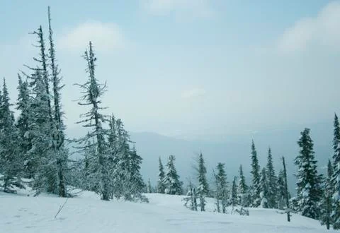 Winter landscape Stock Photos