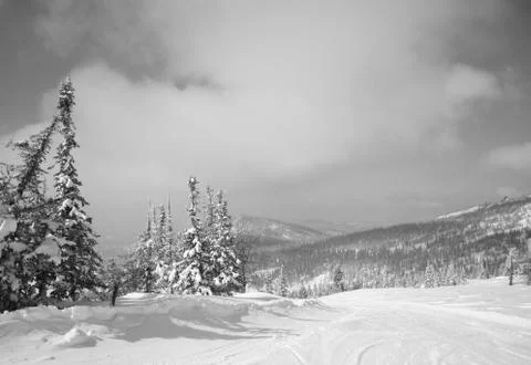 Winter landscape Foto stock