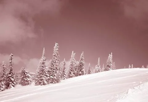 Winter landscape Stock Photos