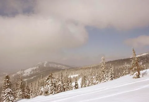 Winter landscape Stock Photos