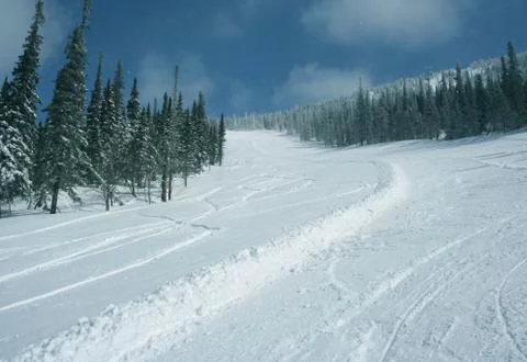 Winter landscape Photos