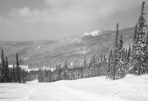 Winter landscape Stock Photos