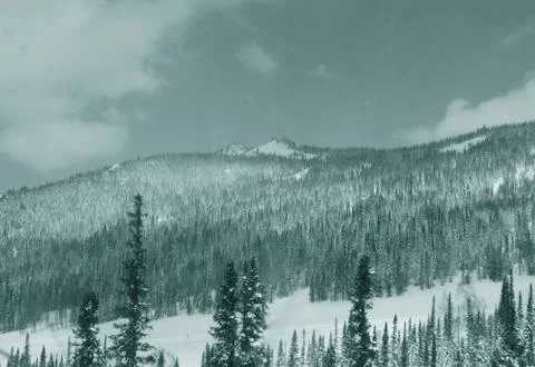 Winter landscape Foto stock