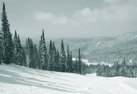 Winter landscape Stock Photos