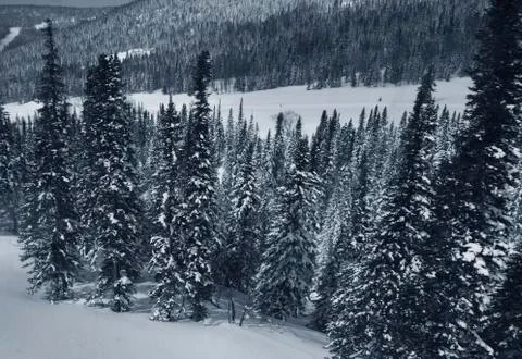 Winter landscape Stock Photos