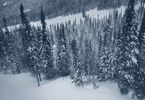 Winter landscape Stock Photos