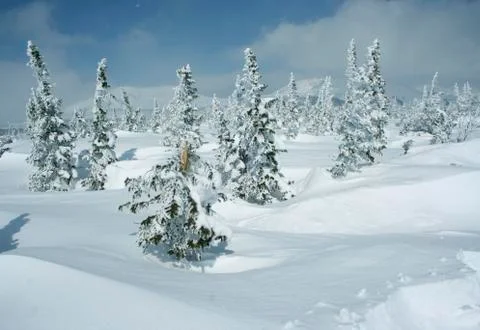 Winter landscape Stock Photos