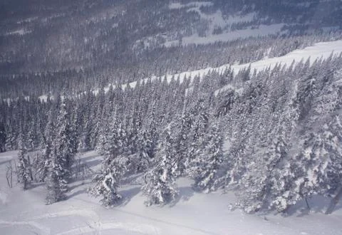 Winter landscape Stock Photos