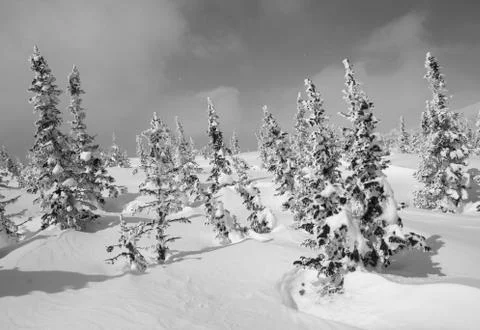 Winter landscape Stock Photos