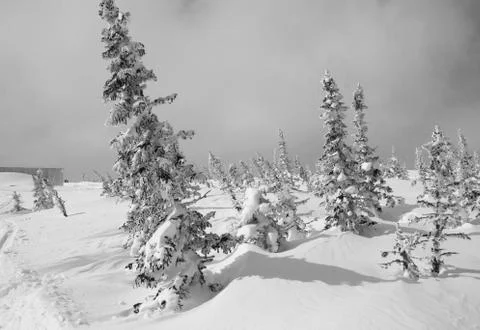 Winter landscape Stock Photos