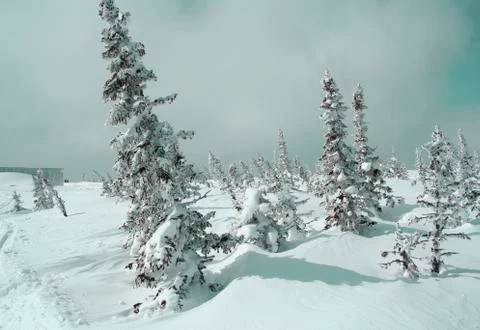 Winter landscape Stock Photos