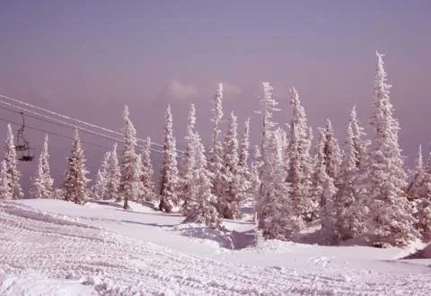 Winter landscape Stock Photos