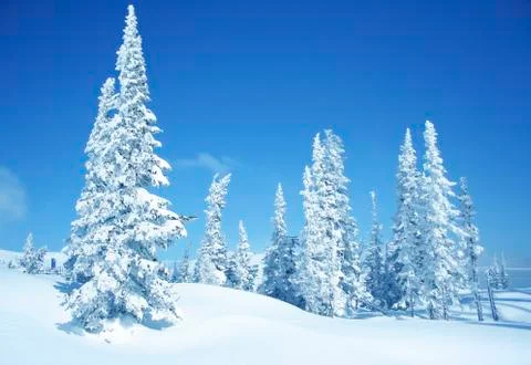 Winter landscape Stock Photos