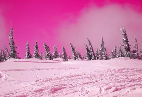 Winter landscape Stock Photos