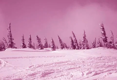 Winter landscape Stock Photos