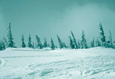 Winter landscape Stock Photos