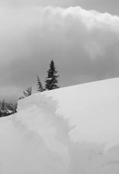 Winter landscape Stock Photos