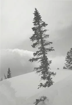 Winter landscape Stock Photos