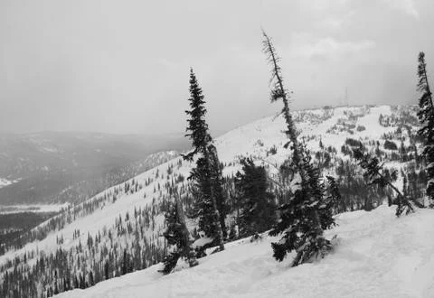 Winter landscape Stock Photos