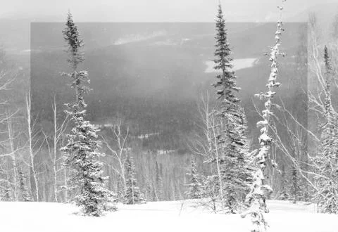 Winter landscape Stock Photos