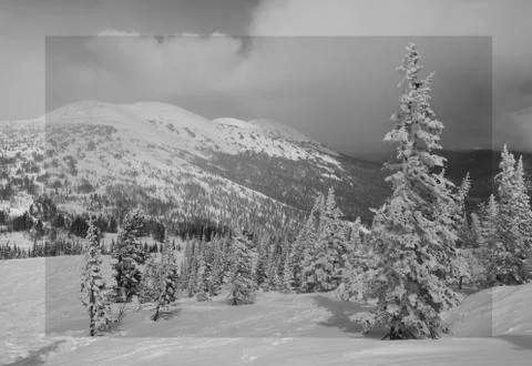 Winter landscape Stock Photos