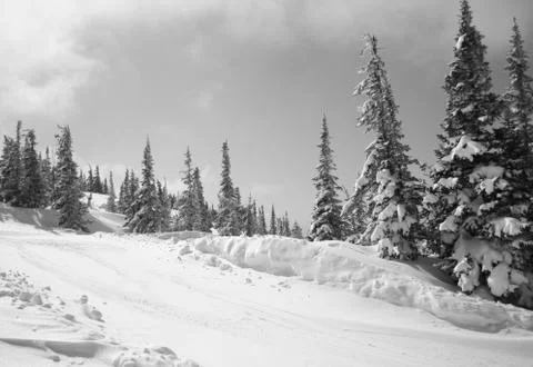 Winter landscape Stock Photos